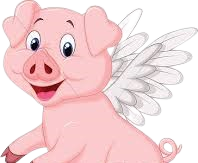 Flying Pig